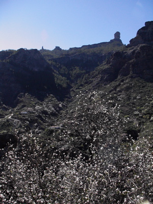Roque Nublo auf Gran Canaria